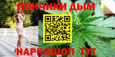 mdpv Краснознаменск