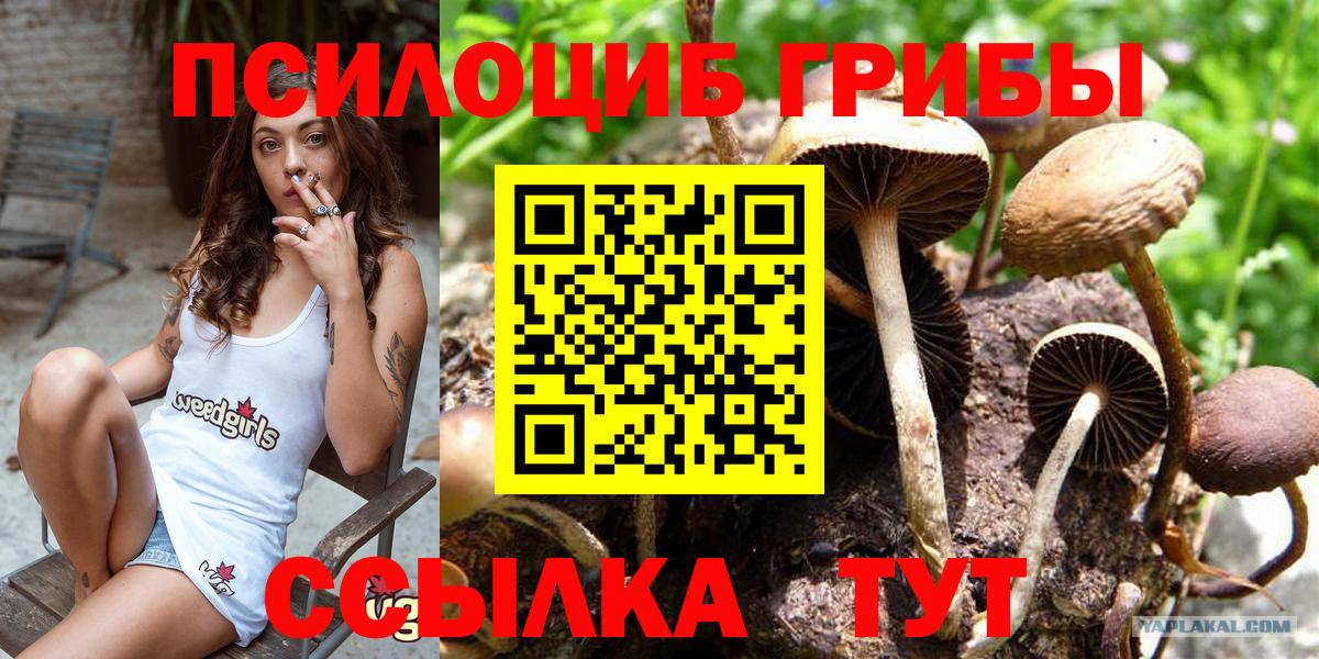 Псилоцибиновые грибы Magic Shrooms  Галлюциногенные грибы прущие грибы  Кольчугино  Вход с VPN 